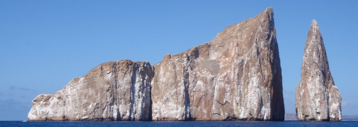 Some things just “say” Galapagos Some things just “say” Galapagos