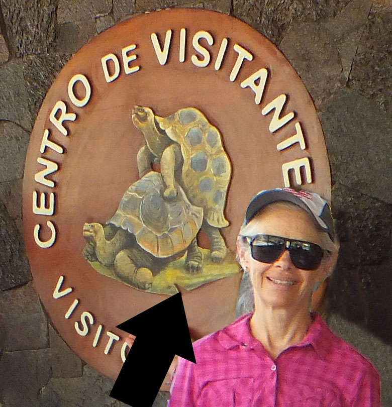 Chris at the Giant Tortoise Crianza in the Galapagos