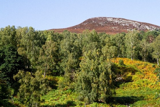 Scottish Highlands