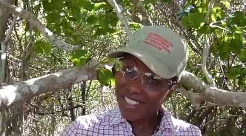 ConservationVIP Virgin Islands Interviews Part One