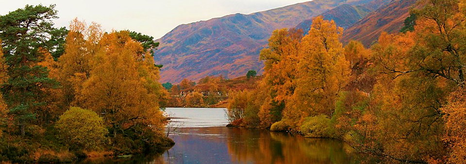 Glen Affric – Caledonian Forest restoration – Restore Our Planet