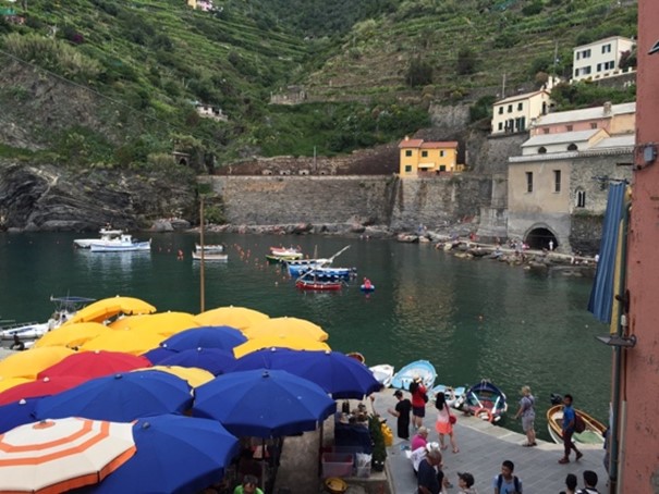 Vernazza, with terraces above