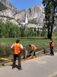 Volunteers with Yosemite Falls in the background