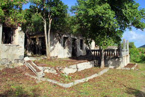 After volunteers cleared vegetation