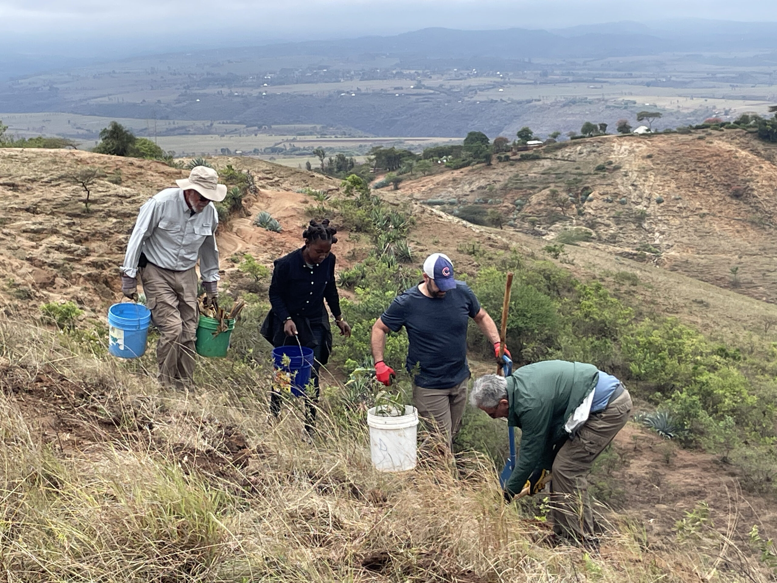 Volunteers planting and watering trees
