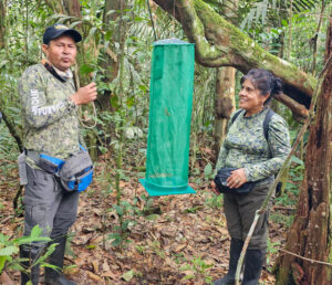 Park Rangers with Butterfly Nets