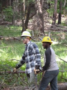 Young adult volunteers are the future of conservation. A scholarship from ConservationVIP can help inspire them.