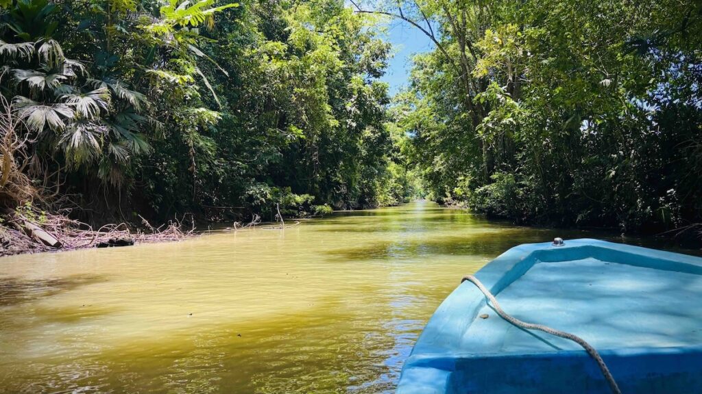 ConservationVIP Travelers journey down waterways to reach the Pacuare Reserve.