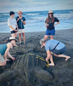ConservationVIP Travelers learn how to take measurements on a sand turtle to prepare for volunteer projects.