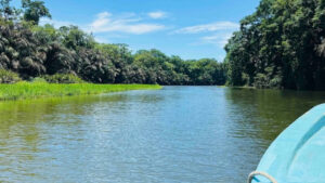 Pacuare Reserve: A Conservation Journey in Costa Rica’s Coastal Rainforest