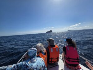 Conservation volunteer trip in the Galápagos Islands with ConservationVIP